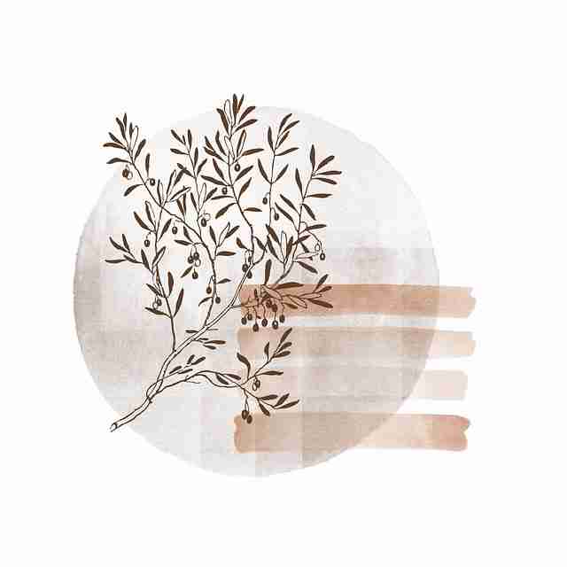 黑料网流量明星背后故事：幕后故事